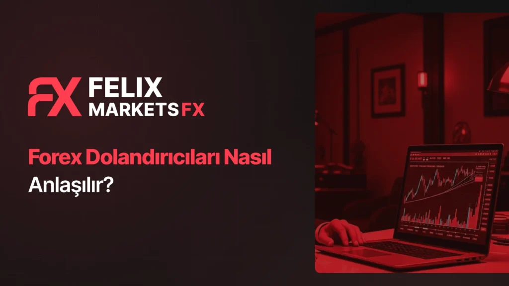 Forex Dolandırıcıları Nasıl Anlaşılır?